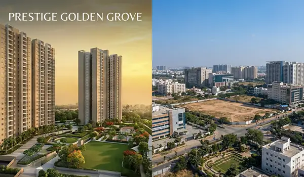 Market Standout: Why Prestige Golden Grove dominates the Tellapur Skyline—And Where It Can Still Improve.