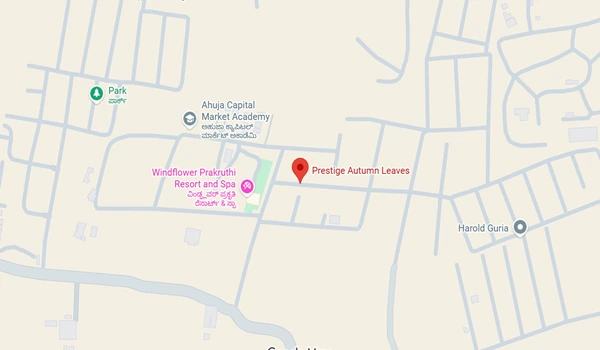 Prestige Autumn Leaves Location