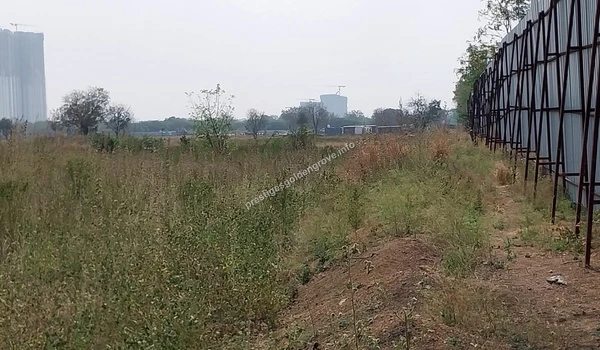 View from inside the perimeter fence looking out over the currently overgrown grassy sectors of the Prestige Golden Grove land