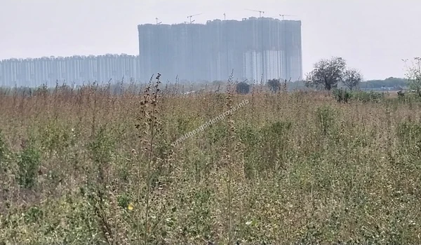 Distant view of the high-rise towers and skyline at Prestige Golden Grove in Hyderabad across open land