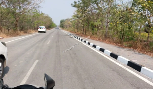 A smooth driving experience along the tree-lined Patancheruvu road, showcasing the excellent suburban infrastructure near Prestige Golden Grove