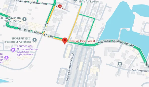 Prestige Pine Forest